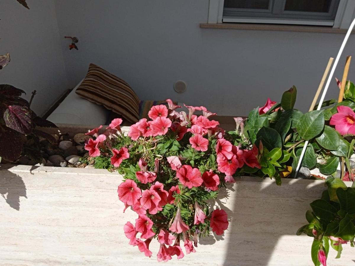 Apartmán La Casa Di Elena Sannicandro di Bari Exteriér fotografie