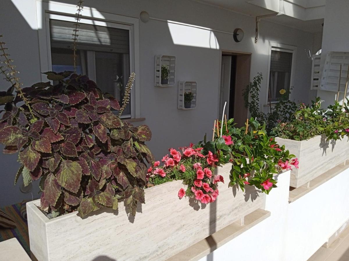 Apartmán La Casa Di Elena Sannicandro di Bari Exteriér fotografie